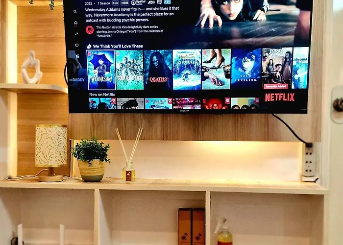 1Br With Netflix, Prime & Ktv