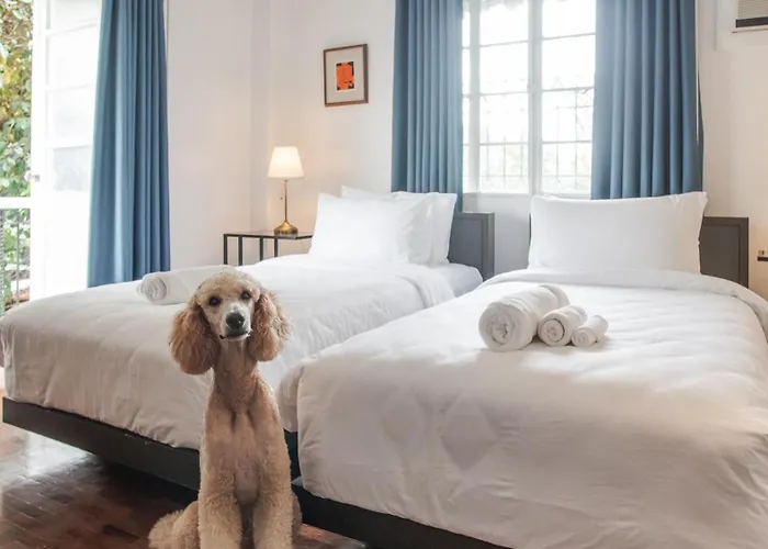 Miranamin Nest Kamantigi - Two Bed Suite In Historic Home With Luxury Indoor Plunge Pool, Garden Access, Self-Service Breakfast, Guest Kitchen, Pet-Friendly