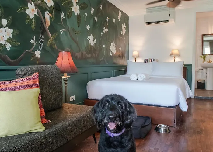 Miranamin Nest Calachuchi - Cozy Room In Historic Home - Indoor Plunge Pool, Petite Desk, Garden View With Balcony, Self-Service Breakfast, Guest Kitchen, Rooftop, Pet-Friendly